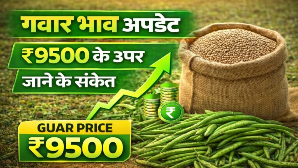 Guar Bhav Today Update