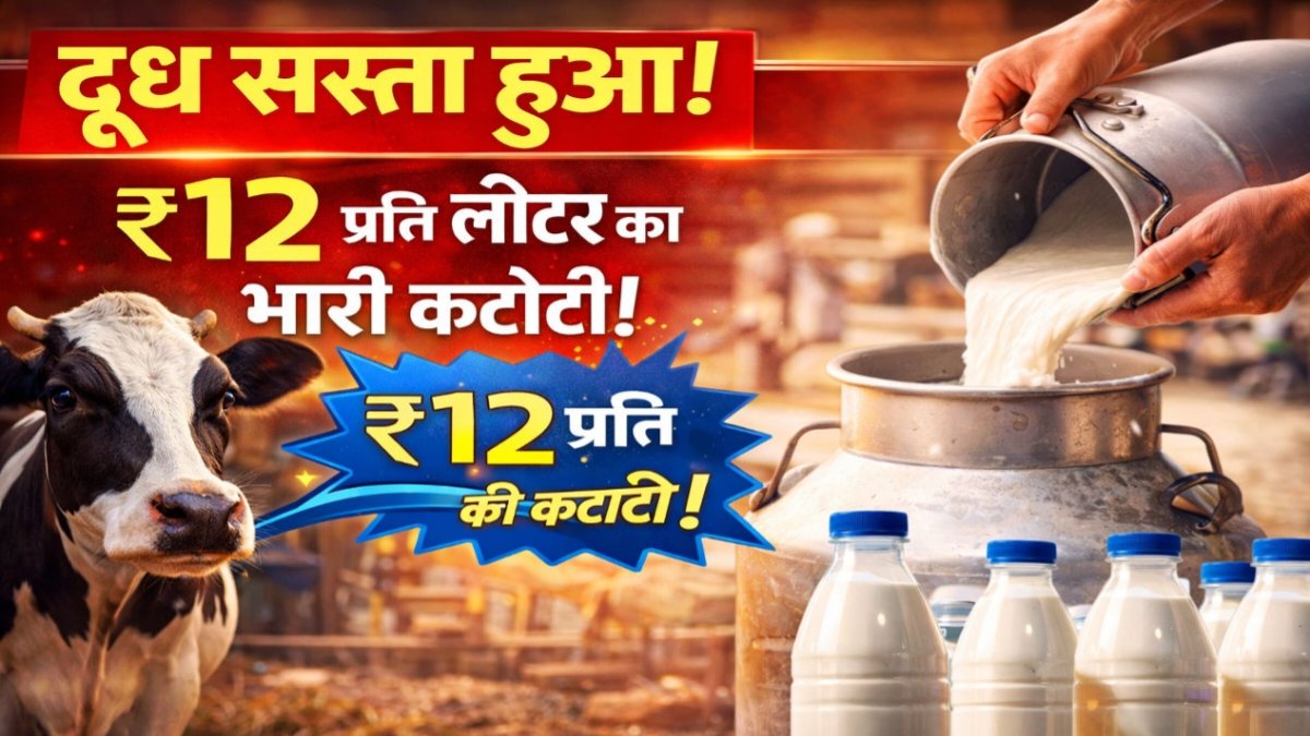 Milk Price Drop Today