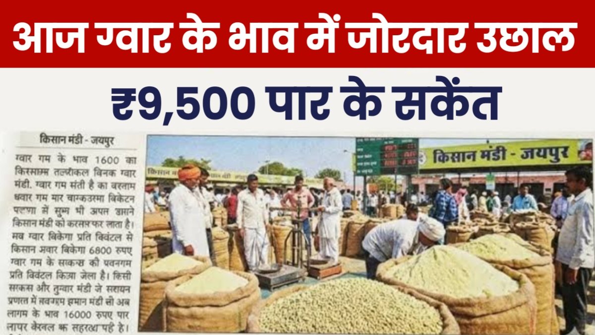 Guar Mandi Bhav Today